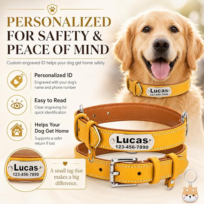 Personalized Genuine Leather Dog Collar with Name Phone Number-Yellow-L