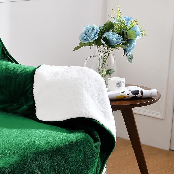 Soft Waterproof Blanket for Bed Couch Sofa, Green, 30x40 inches | Liquid Pee Proof Pet Blanket for Dog Puppy Cat, Reversible Sherpa Fleece Blanket for Couch Cover, Furniture Protector