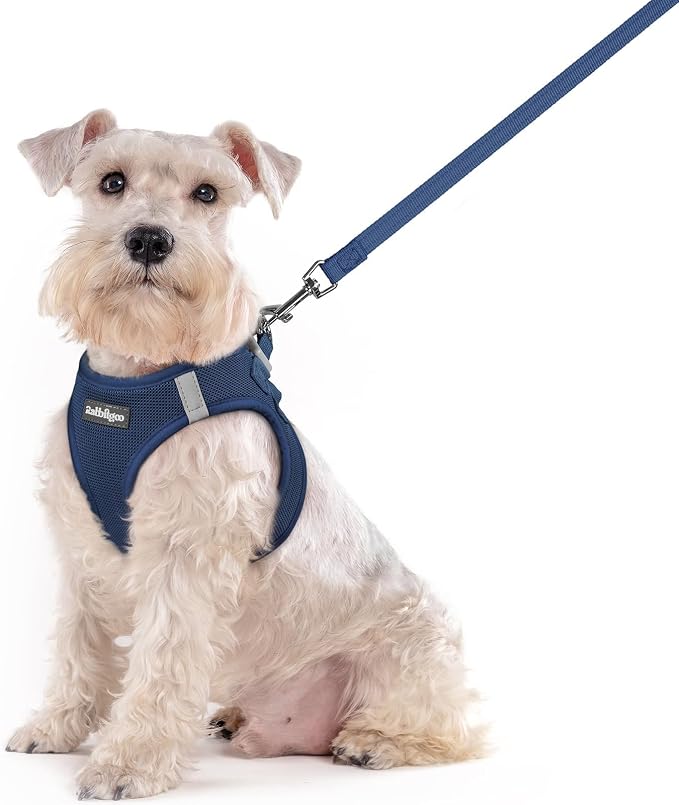 rabbitgoo Dog Harness Medium Sized and Leash Set, Step-in Puppy Pet Vest | Light, Soft, Breathable Air Mesh, Easy on and Remove with Hook & Loop, Secure Reflective for Walking, Navy Blue XXL