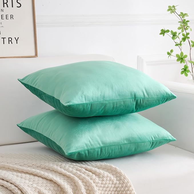 Velvet Decorative Throw Pillow Covers, Soft Square Cushion Case Home Decor for Living Room Couch Bed Sofa, Set of 2 Pack, Aqua Teal, 24x24 Inch