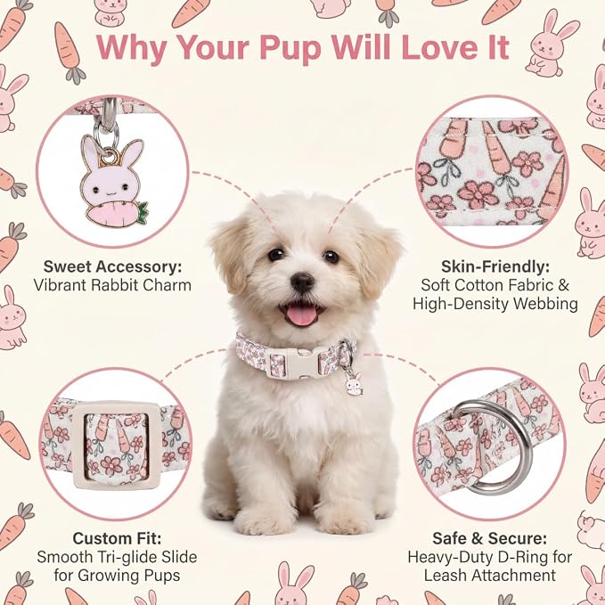 Small Dog Collar, Easter Dog Collar with Cute Easter Rabbit & Floral Pattern, Colorful Spring Dog Collar for Small Dogs, Cute Puppy Collar