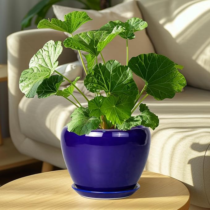 Ceramicfor Ceramic Plant Pot 8 Inch - Planter for Outdoor Plants Indoor Plant Pot with Drainage Hole and Saucer Decorative Round Planter Modern Flower Pot for House Decor Blue