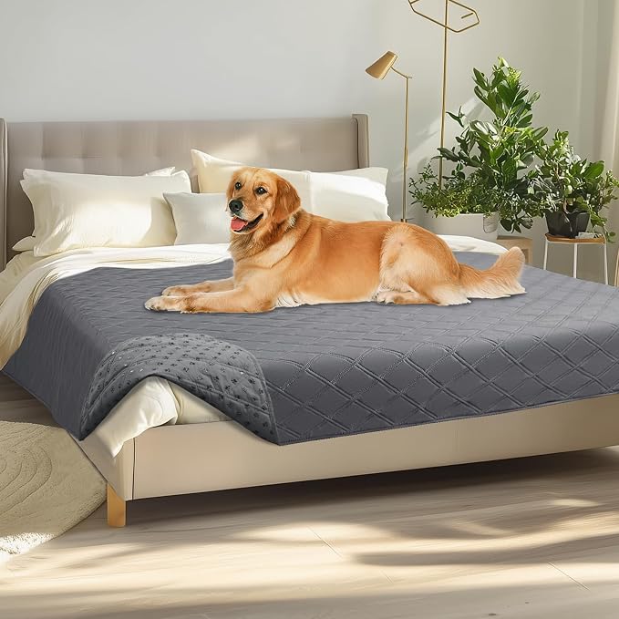 Luciphia Waterproof Couch Cover for Dogs, Non-Slip Pet Sofa Protector | Non-slip waterproof couch cover scratch-resistant machine washable protects sofa bed, Light Grey, 68" x 82"