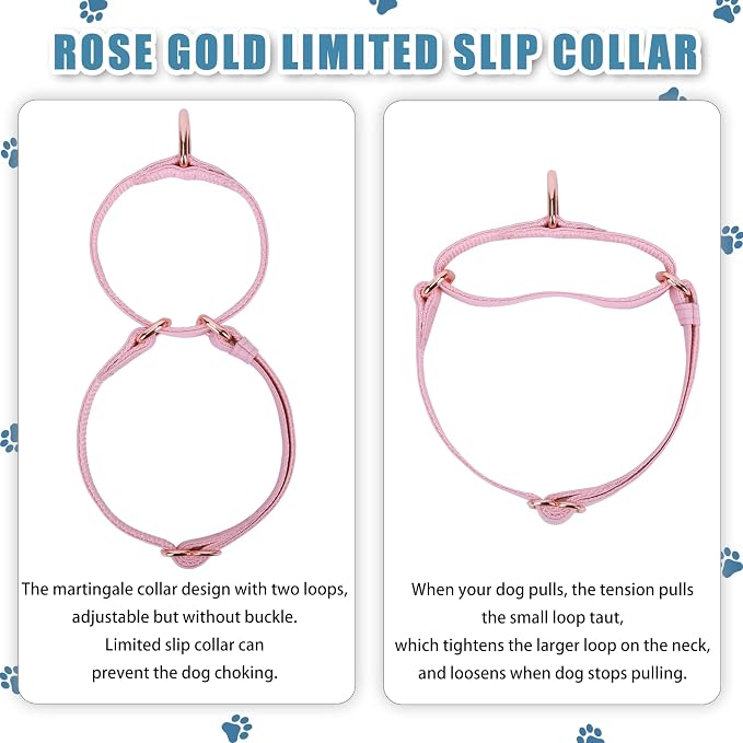 Soft Leather Martingale Dog Collar - Adjustable Rose Gold Limited Slip Collars [Easy to Clean], Stylish Durable Heavy Duty Nylon No Pull Training Collar for Small Medium Large Dogs (XS, Set Pink)