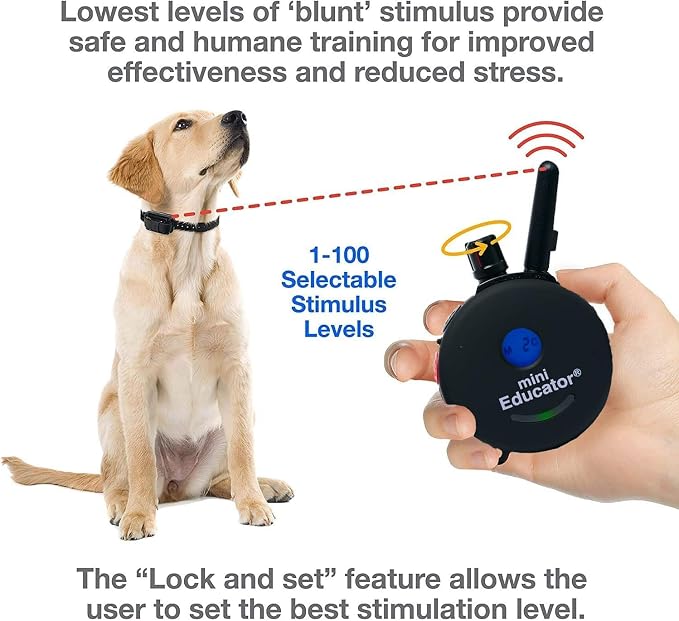 E-Collar ET-300 / ET-302 Dog Training Collar System with Remote - 1/2 Mile Range - Waterproof, Vibration, Sensation - Includes eOutletDeals Pet Towel (1 Dog System - ET-300 Black)
