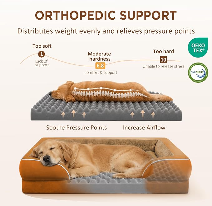 Comfort Expression Waterproof Orthopedic Dog Beds for Large Sized Dog | Supportive Egg Crate Foam Large Pet Bed with Removable Bolster, Dog Couch with Washable Cover & Non-Slip Bottom, 36x27 Inch