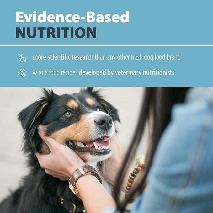 JustFoodForDogs Pantry Fresh Wet Dog Food, Complete Meal or Dog Food Topper, Turkey & Whole Wheat Macaroni Human Grade Dog Food Recipe - 12.5 oz (Pack of 6) | Fresh Pet Meal or Fresh Dog Food Topper, Human Grade Recipe Made With Whole Foods, Preservati...