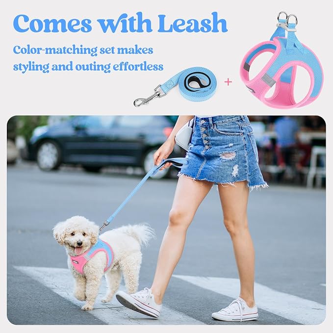rabbitgoo Dog Harness Small Sized and Leash Set, Step-in Puppy Pet Vest | Light, Soft, Breathable Air Mesh, Easy on and Remove with Hook & Loop, Secure Reflective for Walking, Blue & Light Pink S