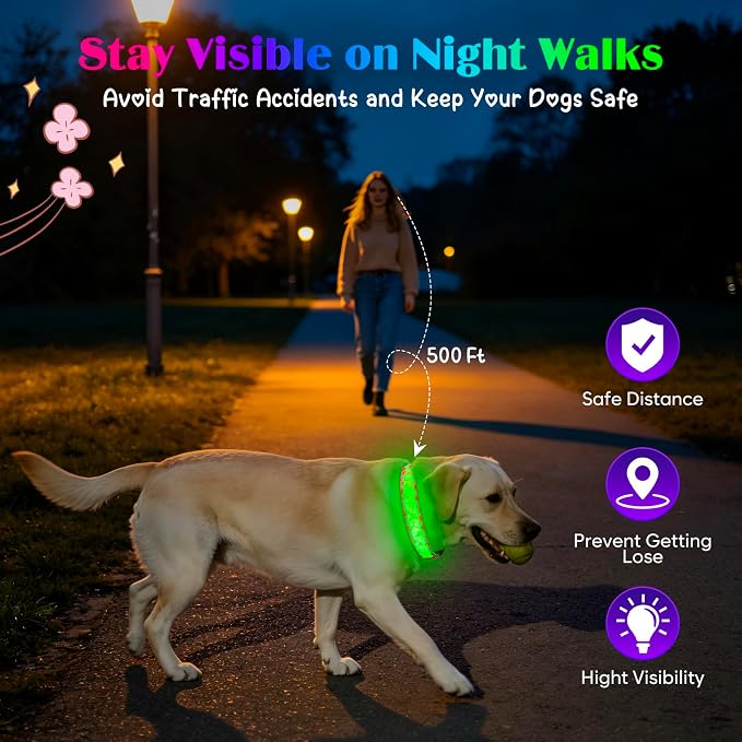 Light up Dog Collar Rechargable - Multicolor LED Dog Collar, 7 Colors Safety Dog Lights with Battery Indicator, Waterproof and Adjustable Heart Print Glow Collar for Dogs (Pink Heart, M)