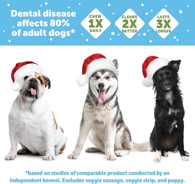 Wellness WHIMZEES Holiday Natural Dog Dental Treat, Christmas Winter Seasonal Gift, Chews, Freshens Breath, Medium Size, 6.3 oz Bag, 6 Count