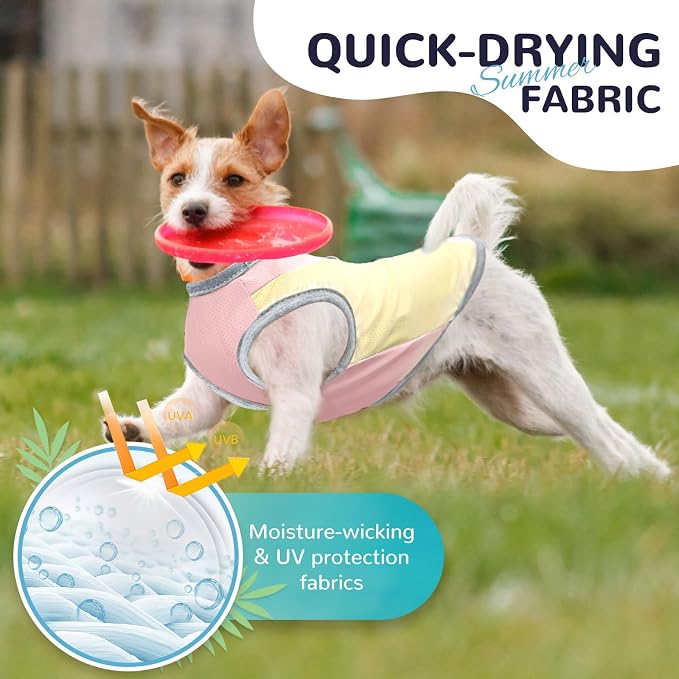3 Pack Dog Cooling Vest with D-Ring Dog Tshirt Sun Protection Small Puppy Clothes for Girls Boys Stretchy Shirts for Dogs Lightweight Breathable Shirt French Bulldog Frenchie Dachshund Clothes