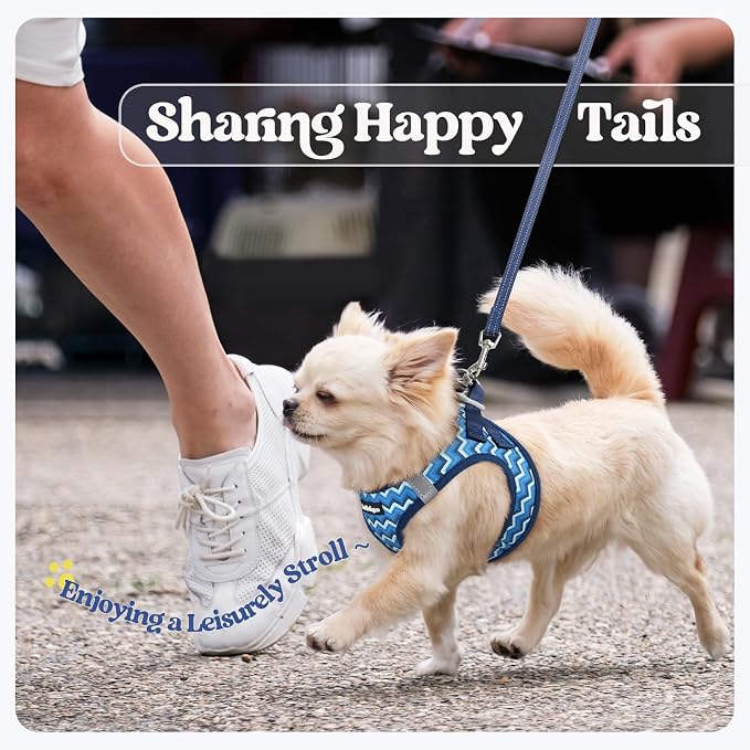 rabbitgoo Dog Harness Small Sized and Leash Set, Step-in Puppy Pet Vest | Light, Soft, Breathable Air Mesh, Easy on and Remove with Hook & Loop, Secure Reflective for Walking, Blue Zigzag XS