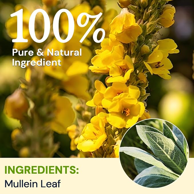 Mullein Leaf Tea Bags for Lung Support, 80 Tea Bags, Herbal Tea from Mullein Leaves, Caffeine Free, No Sugar