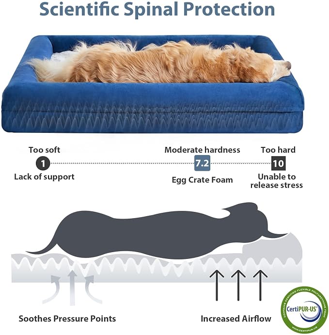 WNPETHOME XXXL Big Large Orthopedic for Senior Dog Bed Comfy Sleeping | Washable Waterproof Dog Couch with Removable Cover, Large Pet Sofa Bed with Bolster Sides for Relaxing Blue 53x42 Inch