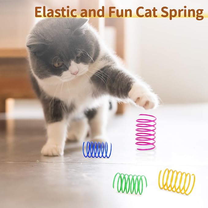 iCAGY 24 Pcs Cat Toys Set for Indoor Cats, Kittens
