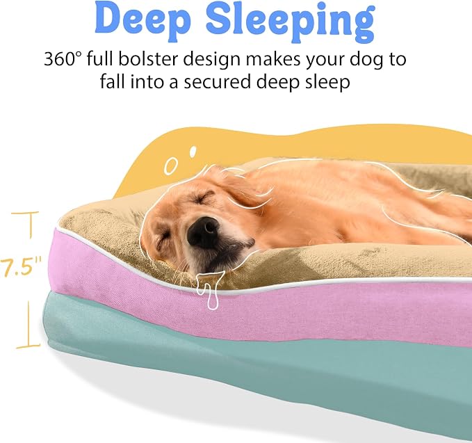 Orthopedic Washable XXL Dog Bed for Extra Large Dogs | Egg Crate Foam, 4-Sided Bolster Support, Waterproof Liner, Non-Slip Bottom, Removable Bolster Cover, 45 x 35 Inch