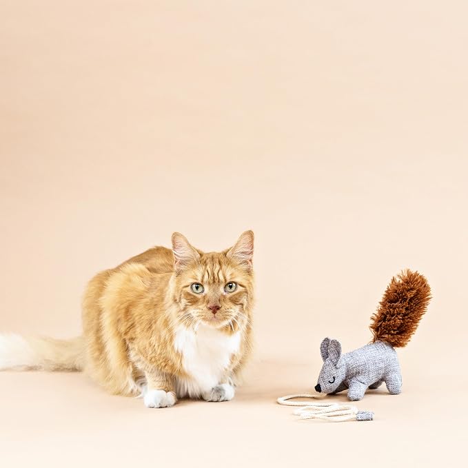 Fringe Studio ONE TUFF NUT Teaser Cat Toy, PetShop Collection (717001)