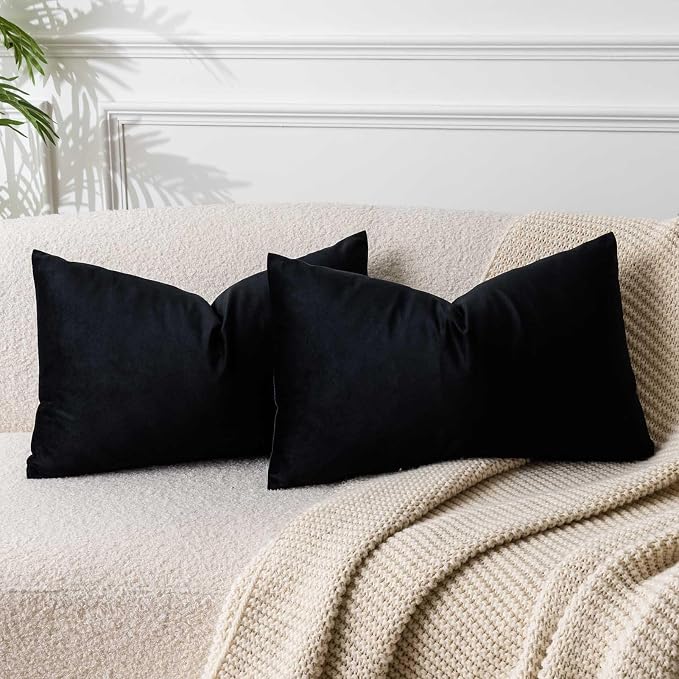 14x24 Pillow Covers Set of 2 Decorative Velvet Throw Pillow Covers,Black | Luxury Soft Cushion Covers with Invisible Zipper for Couch Sofa Bed Living Room Bedroom Home Decor Halloween