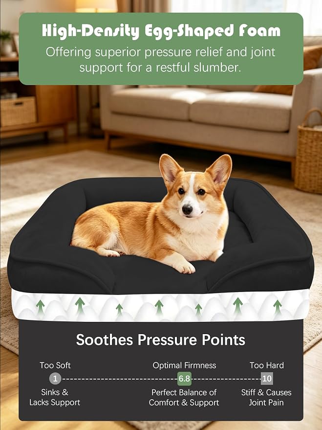 Spotted Play Orthopedic Dog Bed with Sides - Sofa Beds for Medium Dogs, Supportive Foam Pet Couch Bed with Washable Removable Cover, Waterproof Lining and Non-Slip Bottom, Black - M