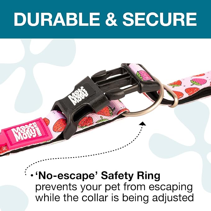 Max & Molly Urban Pets Fashion Smart ID Dog Collar, Anti-Fade, Adjustable Sizing w/Pet Profile Smart ID QR-Tag, Waterproof & Machine Washable, Strawberries, Large (Neck Size 15-25")