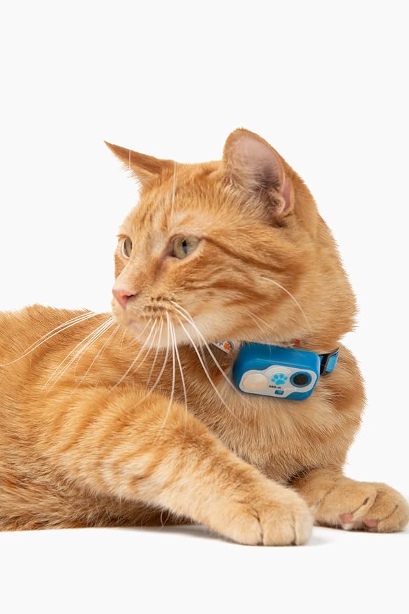 MS-5 Automatic Pet Door Collar, Genuine High Tech Pet Brand Dog Collar for Power Pet Doors - Designer Series, Waterproof (Blue, Cat)