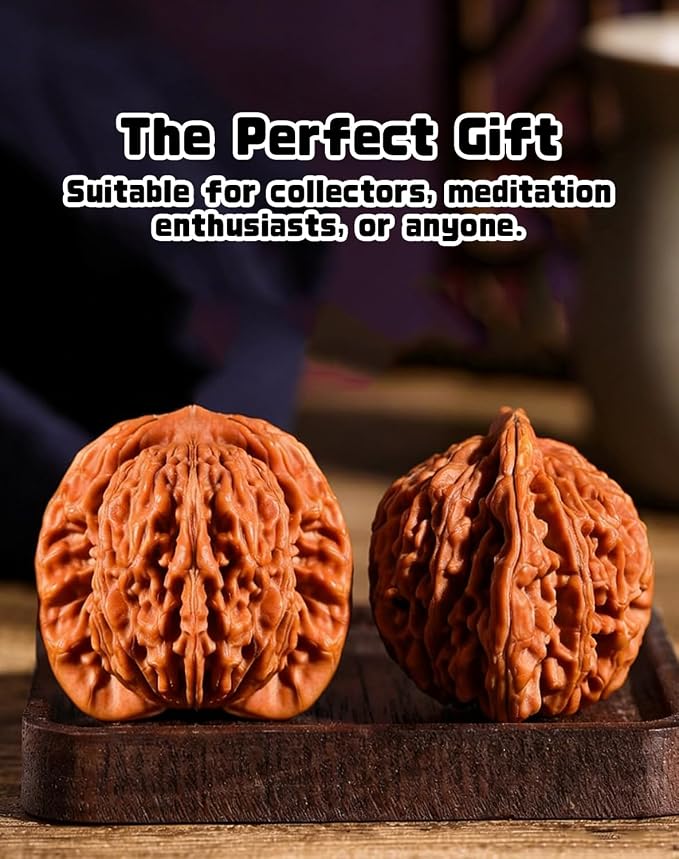 Jade Walnuts - 2026 Chinese Wenwan Walnut, Polishing Walnuts Fidget with Storage Box, Hand-Polished Natural Walnut Stress Relievers, For Meditation, Focus, And Collectors (Pointed Hat B, 1.61-1.65in)
