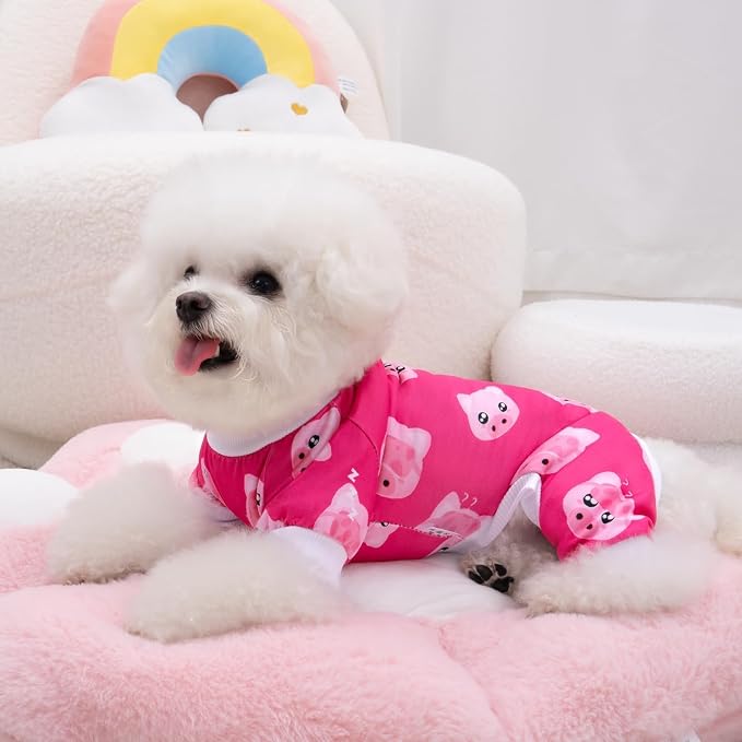 XPUDAC 2 Pack Dog Pajamas for Small Sized Dog, 4-Way Stretch Warm Pet Pjs Onesie Lightweight Soft Jammies Pet Clothes Boy Girl Duck Pig Print, M