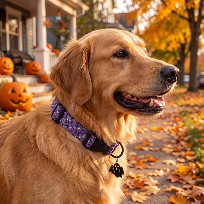 Halloween Dog Collar, Purple Puppy Collar for Extra Small Dogs