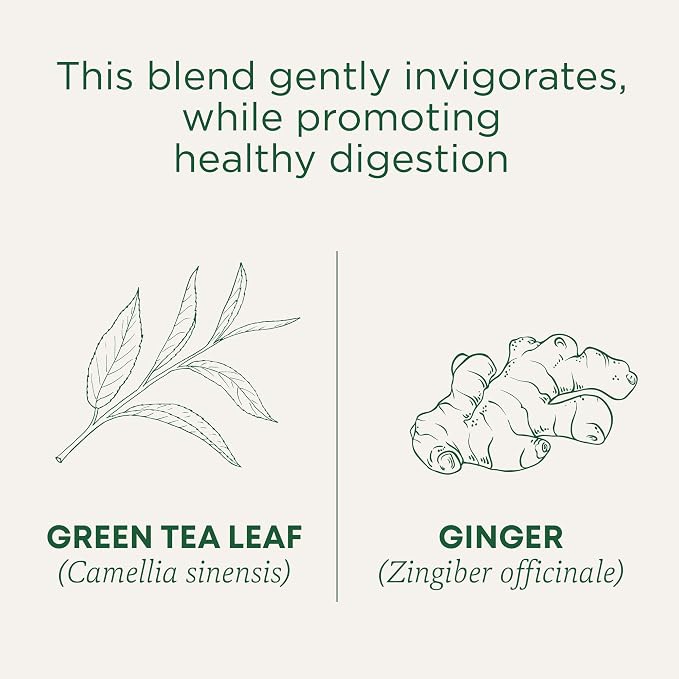 Traditional Medicinals Tea, Organic Green Tea Ginger, Promotes Healthy Digestion, 96 Tea Bags (6 Pack)