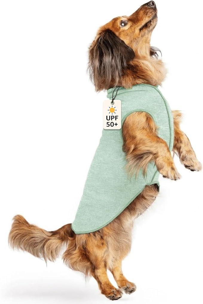 Goldpaw Dog Sun Shirt with UV Protection - Lightweight, Cooling Sun Protection Clothing for Small Dogs - Reduce Heat Absorption - Made in the USA - Machine Washable - Pistachio Green - Size 12