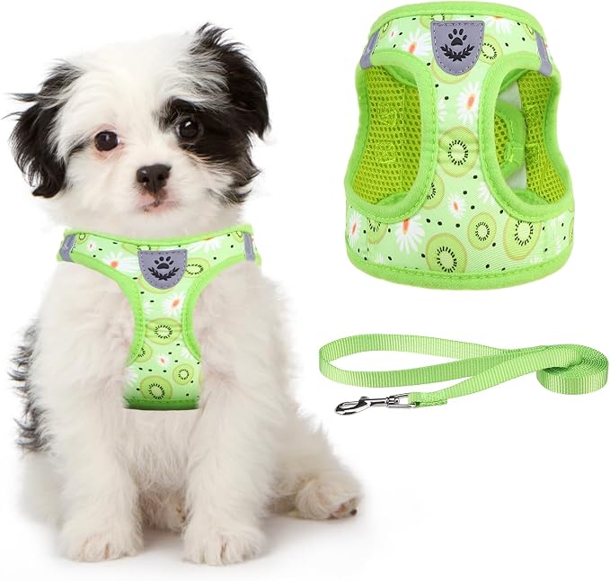 KOOLTAIL Dog Harness and Leash Set for Small Medium Dogs, Step in No Pull Soft Mesh Dog Harness Comfort Padded Pet Vest, Adjustable Reflective Easy Walking Puppy Cats Harness Training, Kiwifruit XS