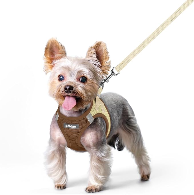 rabbitgoo Dog Harness Small Sized and Leash Set, Step-in Puppy Pet Vest | Light, Soft, Breathable Air Mesh, Easy on and Remove with Hook & Loop, Secure Reflective for Walking, Brown & Beige XS