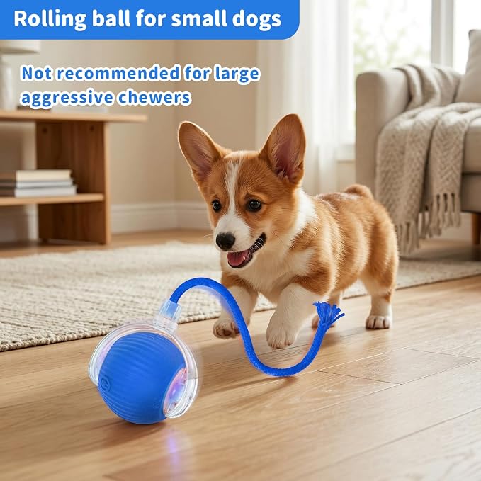 Cat Toys for Indoor Cats Smart Automatic Bal Moving Chase Dogs Toy, Blue | Ball Rolling for Bored Kitten Pet, Upgraded Speedy Moving Chase Dogs Toy