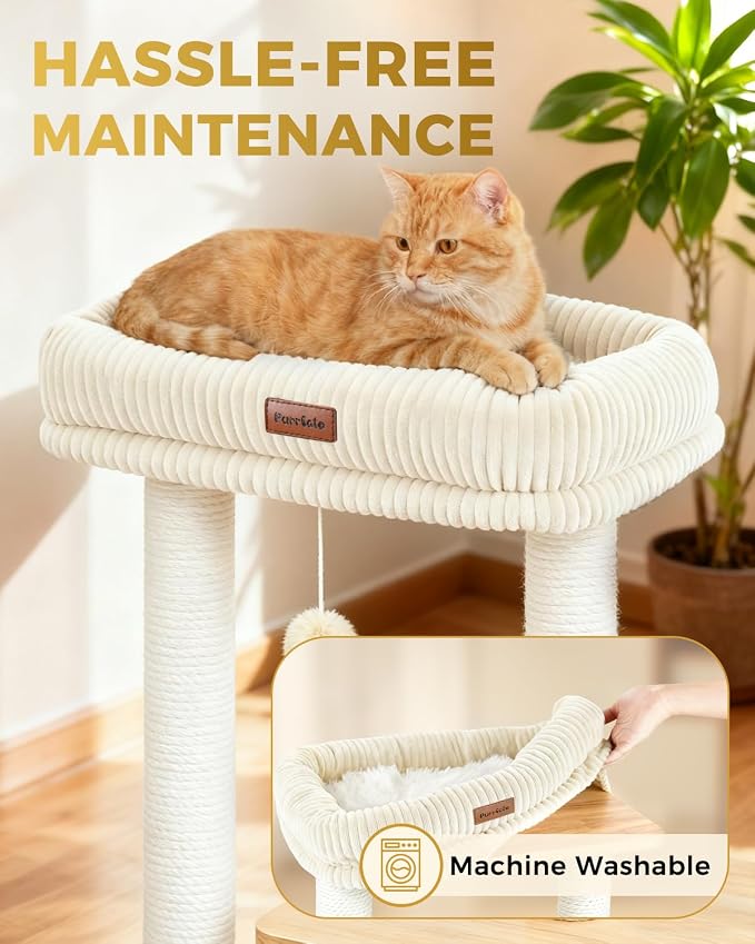 Small Cat Tree for Indoor Kittens, 30" Compact Modern Cat Tower | Natural Bamboo Cozy Condo, Soft Padded Perch, Sisal Scratching Post, Dangling Ball Toy, Stable Base, for Cats up to 15 lbs