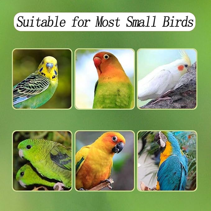 No Mess Bird Feeder for Cage, Automatic Acrylic Bird Feeder Seed Catcher Tray Cage with Stainless Steel Hooks for Small Parrots Canary Parakeet Budgerigar Crested Cockatiel Lovebird (Small) | Bird Feeder Cage with Stainless Steel Hooks for Small Bird P...
