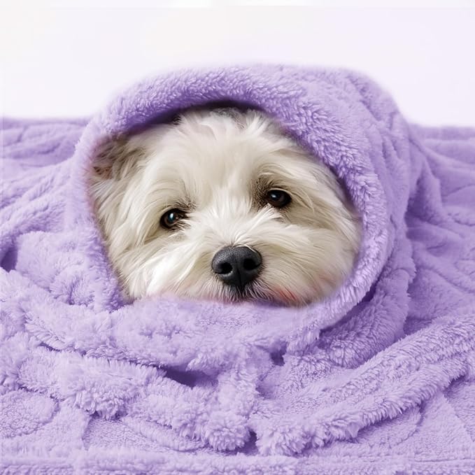 Luciphia Soft Small Dog Blanket 300GSM Fleece Throw Puppy Cat,30"x20" | Pink Blanket Washable for Medium/Large Dogs, Cute Cover on Bed Couch Crate Car, Puppy Essentials, Dog Gift