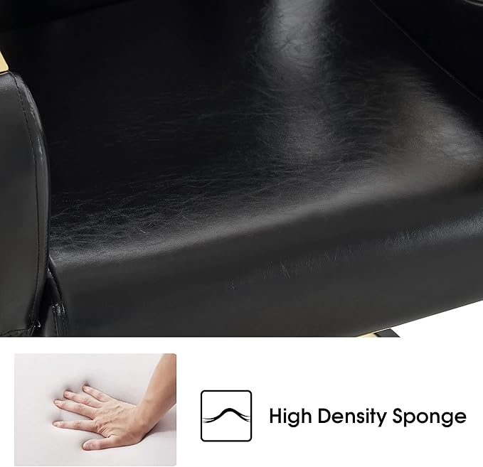 BarberPub Luxurious Classic Barber Chair Hydraulic Pump Recline Beauty Spa Styling Salon for Hair Stylist Equipment 9578(Black)