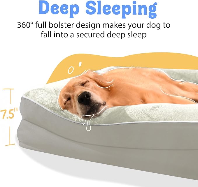 Waterproof Orthopedic XL Dog Bed for Large and Extra Large Dogs | Egg Crate Foam, 4-Sided Bolster Support, Waterproof Liner, Non-Slip Bottom, Machine Washable Cover, 42 x 30 Inch