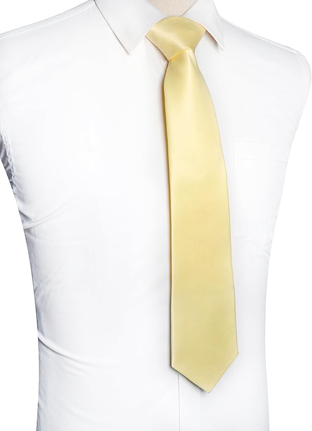 JEMYGINS Solid Color Tie Mens Necktie for Business and Wedding
