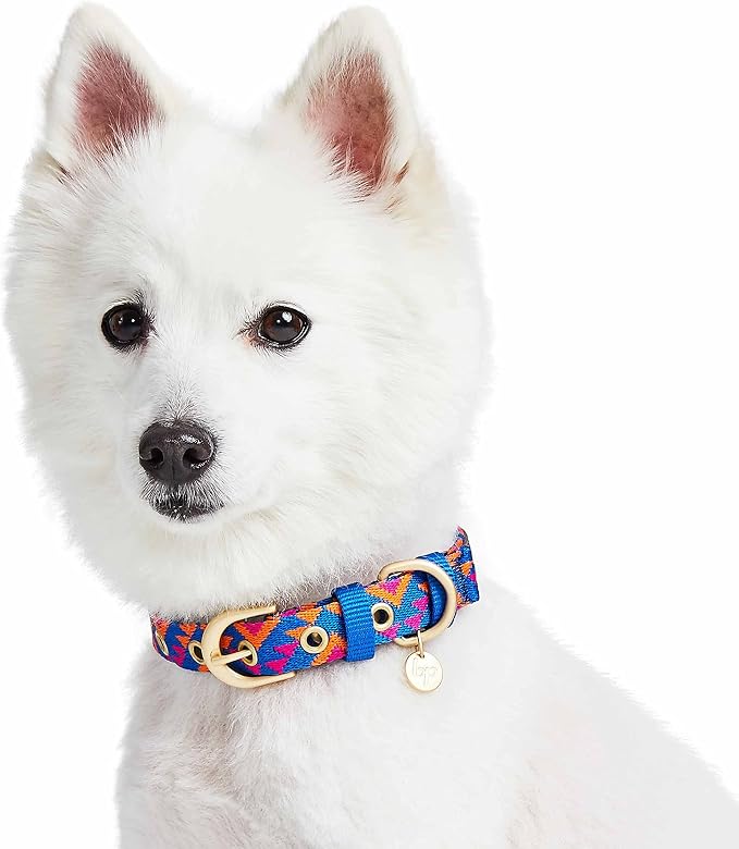 Blueberry Pet Southwestern Tribal Triangles Navy Blue Adjustable Dog Collar with Metal Buckle, Neck 9-12.5", for Small Breed