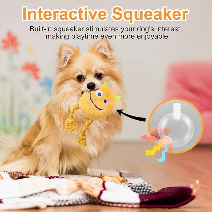lilfrd 2 Pack Squeaky Rope Plush Dog Toys for Small Medium Puppies