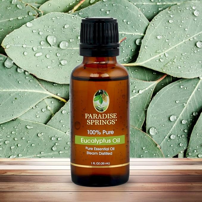 Paradise Springs Eucalyptus Essential Oil, 100% Pure and Natural Eucalyptus Essential Oil for Diffusers for Home Aromatherapy, Massage, Humidifiers, 1oz (30ml)