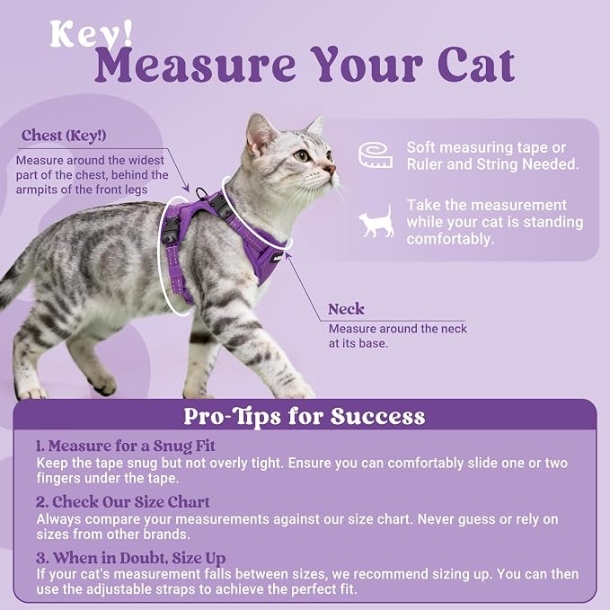 rabbitgoo Cat Harness and Leash, Easy-on with Neck Buckle, Purple