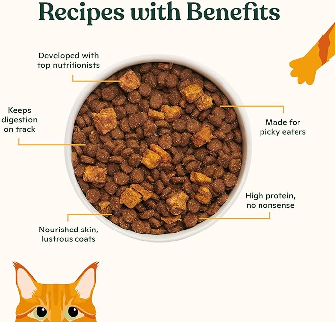 Made by Nacho Dry Cat Kibble 4lb Bag, High Protein Premium Cat Food with Freeze Dried Pieces, Cage-Free Chicken & Duck, Limited Ingredients, Single Bag | Protein-forward dry cat food with premium ingredients and craveable texture for everyday feeding