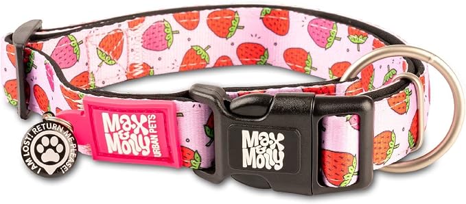 Max & Molly Urban Pets Smart ID Dog Collar with Gotcha! QR Pet Safety Tag and Custom Pet Profile, Soft Padded Neoprene, Waterproof, Machine Washable, Strawberries, XS (9-14")