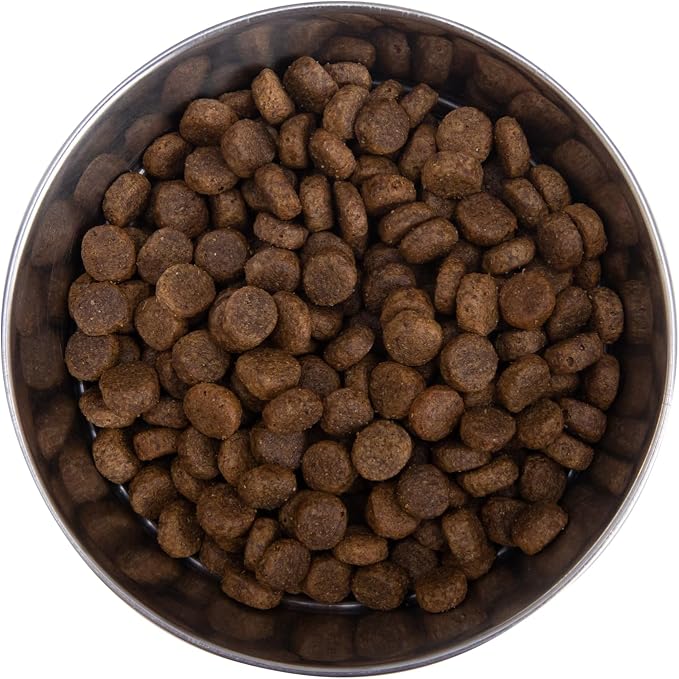 Health Extension Grain Free Venison & Sweet Potato Dry Dog Food - 30+ Superfoods and Probiotics for All Life Stages (10 lb)