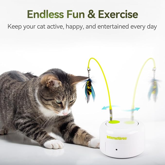 ALL FOR PAWS Interactive Cat Toy, Automatic Fluttering Bug Enrichment Toy for Indoor Kittens, Flying Cat Toy with Motion Sensor, 1 Replacements