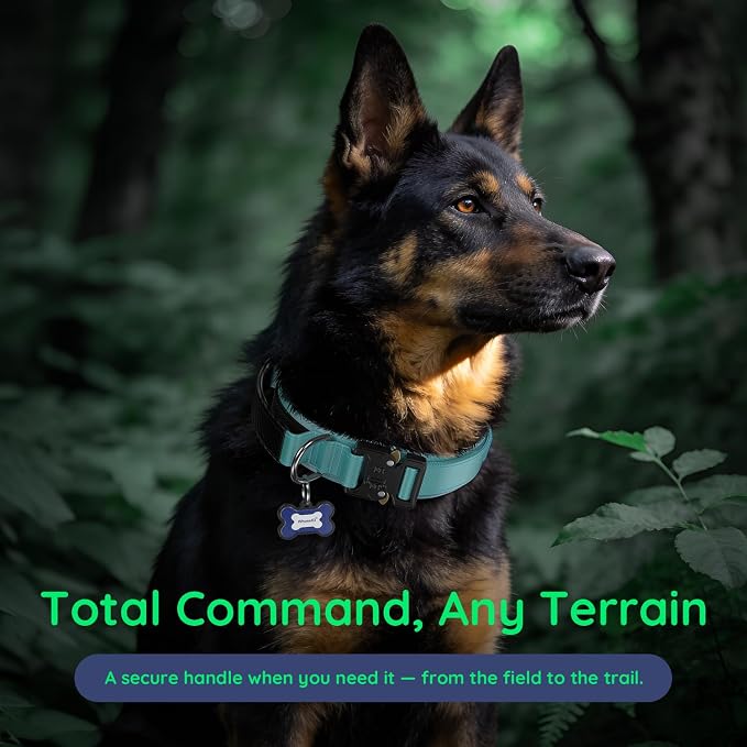 Tactical Dog Collar, Heavy Duty Dog Collar for Medium Large Dogs