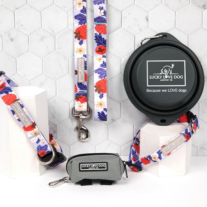Lucky Love Dog Martingale Collar & Leash Set No Slip – Sweet Berry, Medium