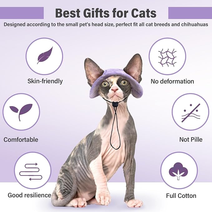 DENTRUN Cat Bucket Hat with Ear Hole, Cotton Birthday Bonnet for Small Pets | Breathable cotton, Adjustable Secures fit, For birthday Party, For small cats, daily cute photos